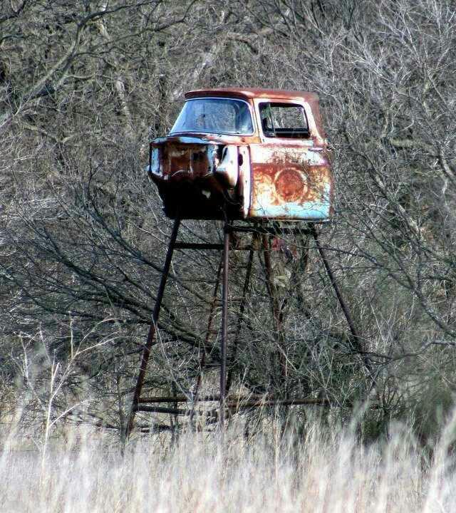 [Linked Image]